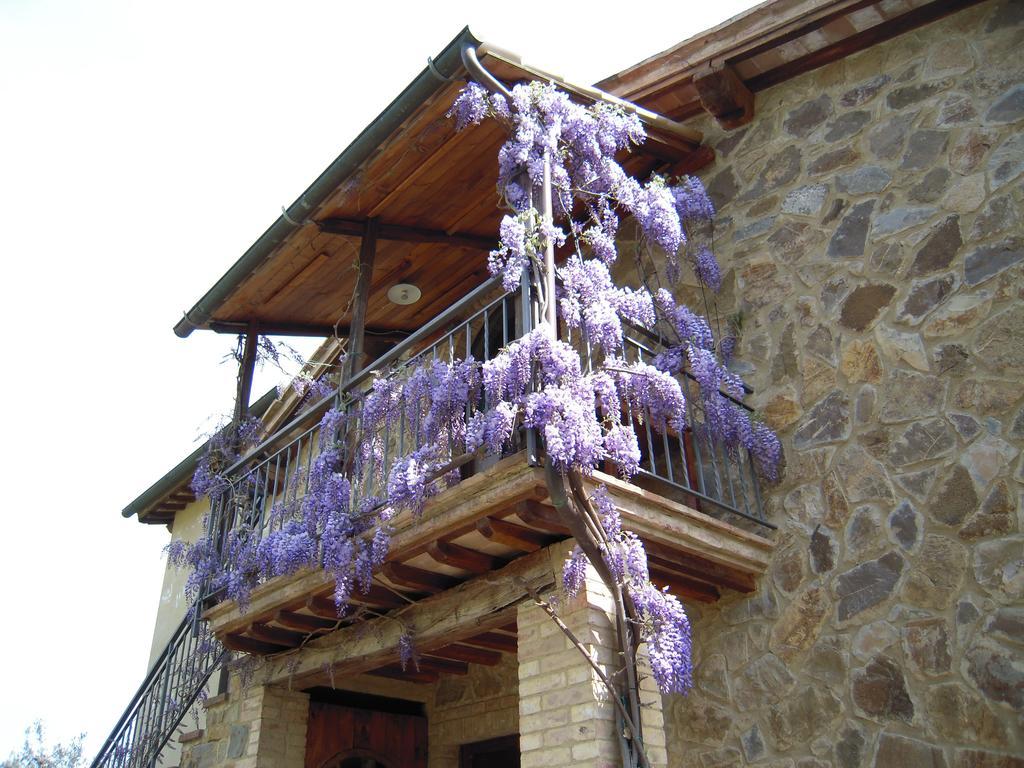 Casa Vacanze Porta Vecchia Монтальчино Экстерьер фото
