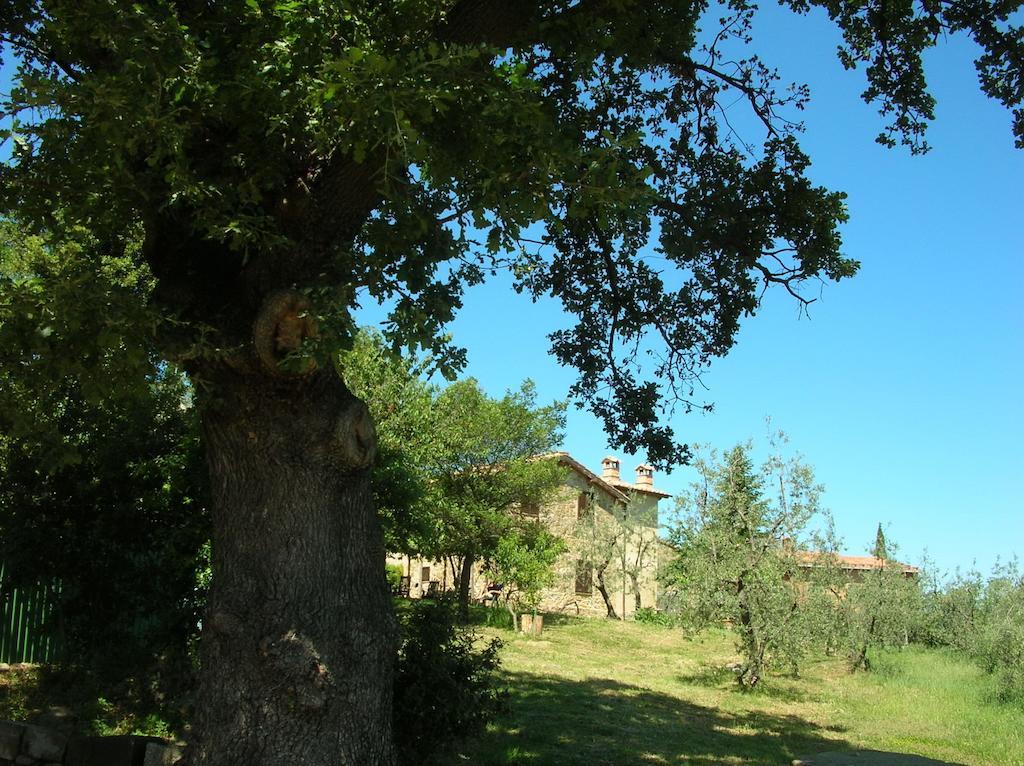 Casa Vacanze Porta Vecchia Монтальчино Номер фото